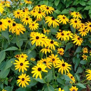 SHOP MY CLOSET AND BUNDLE FOR GREAT DEALS!